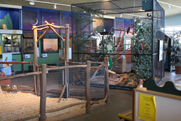 Randall Museum Exhibit