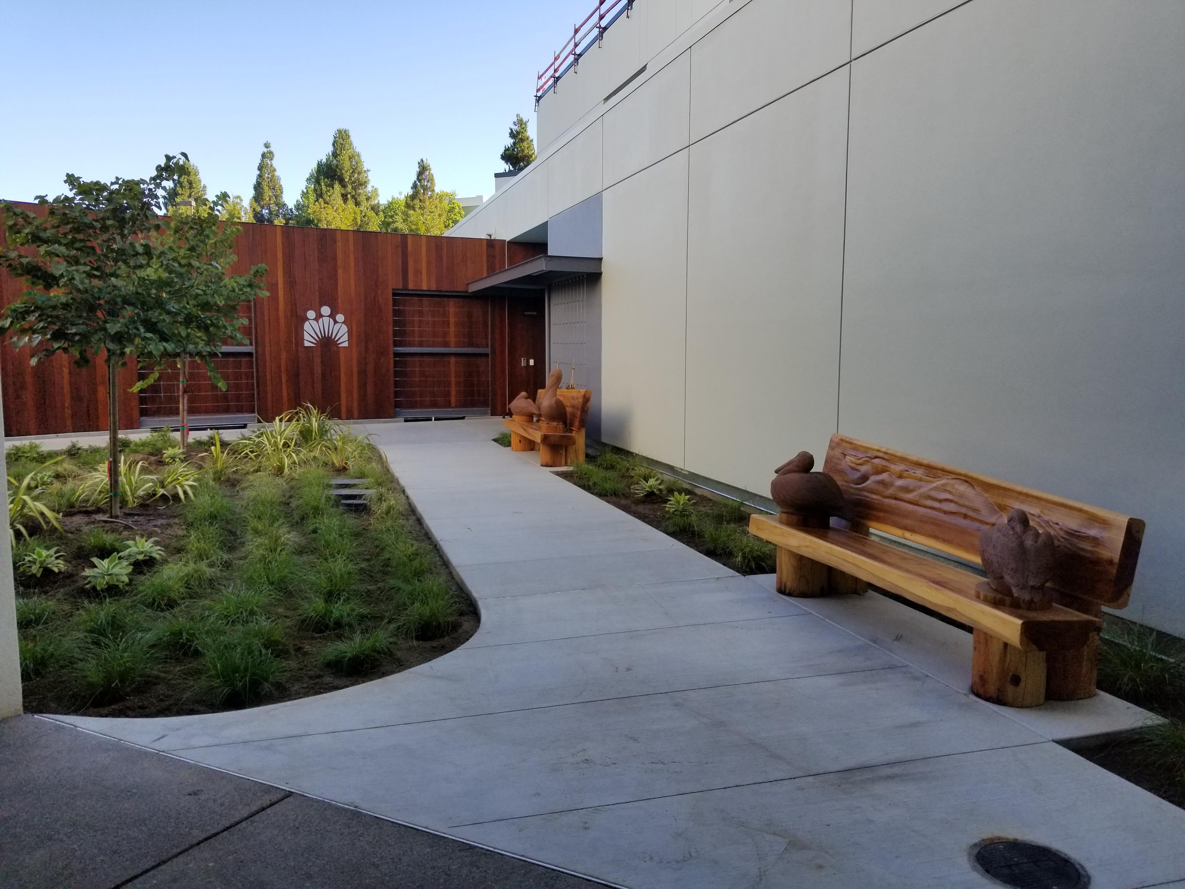 Outdoor behavioral health healing garden with a curving accessible walkway, native planting, wood-clad walls, and carved wooden benches with bird sculptures.