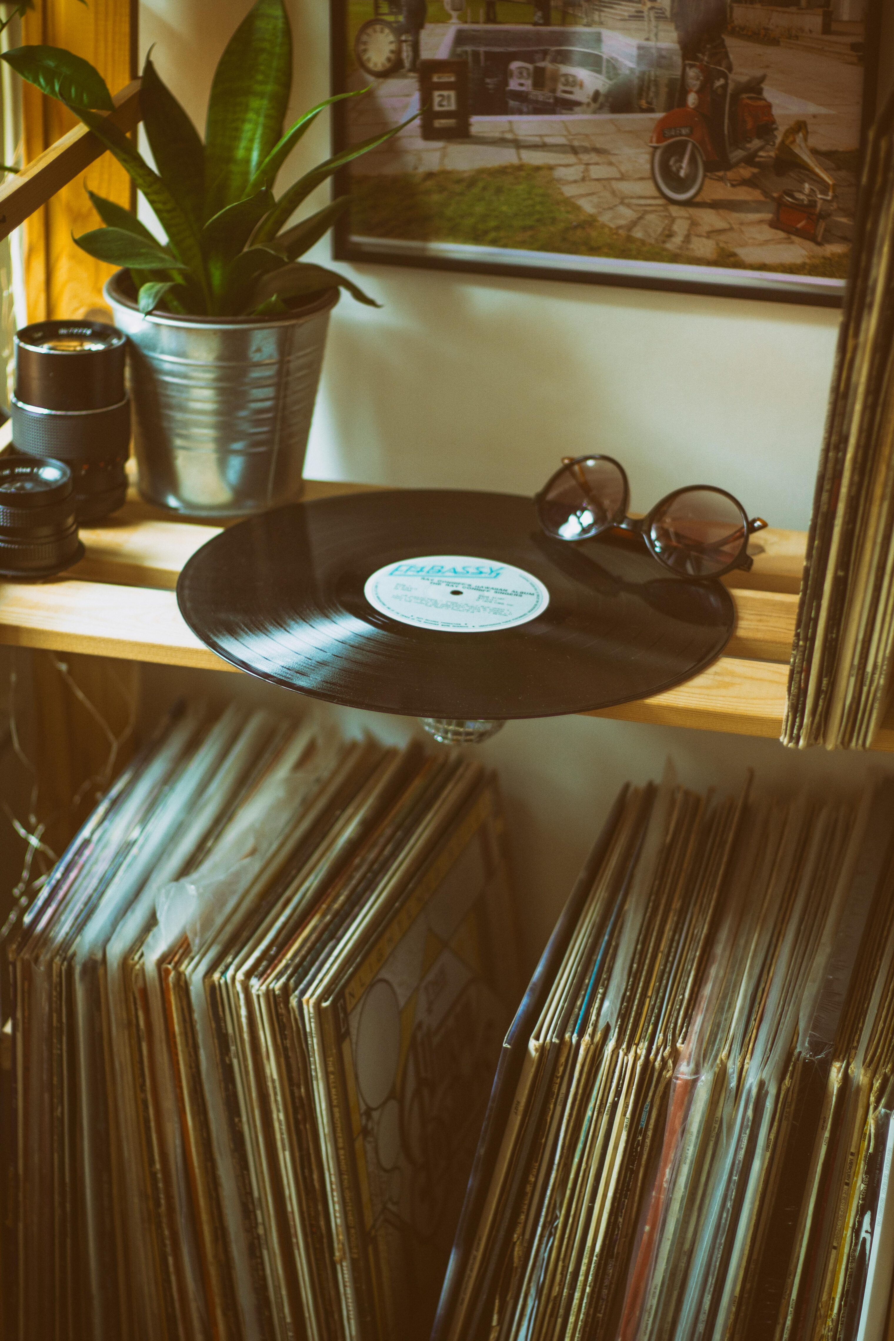A vinyl record on a wooden shelf beside round sunglasses, a potted plant, and camera lenses. Below, a neatly stacked collection of record albums is visible on the shelves, with warm sunlight creating a nostalgic glow.