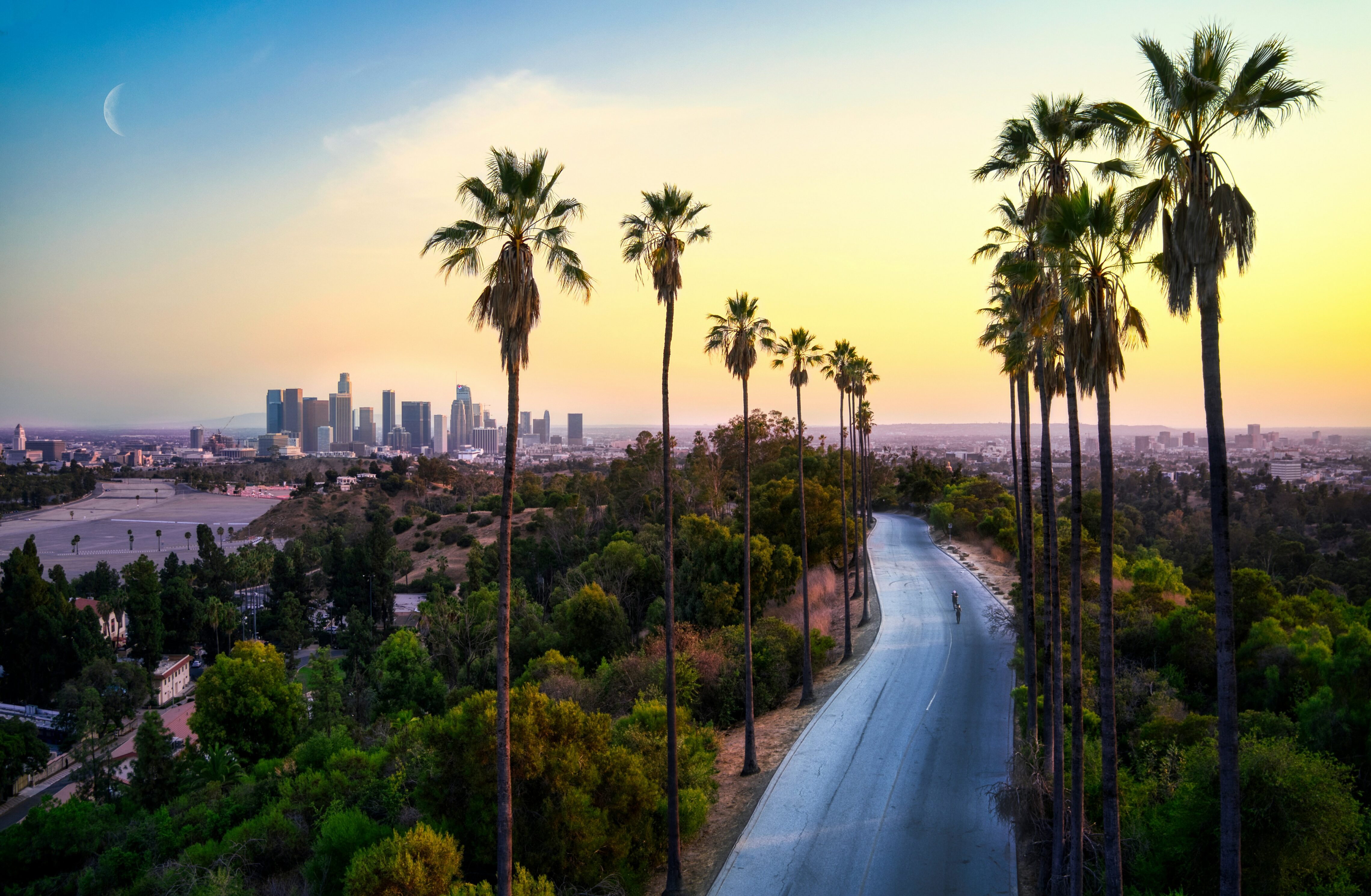 A panoramic view of the Los Angeles skyline at sunset, seen from a winding road lined with tall palm trees and lush greenery.
