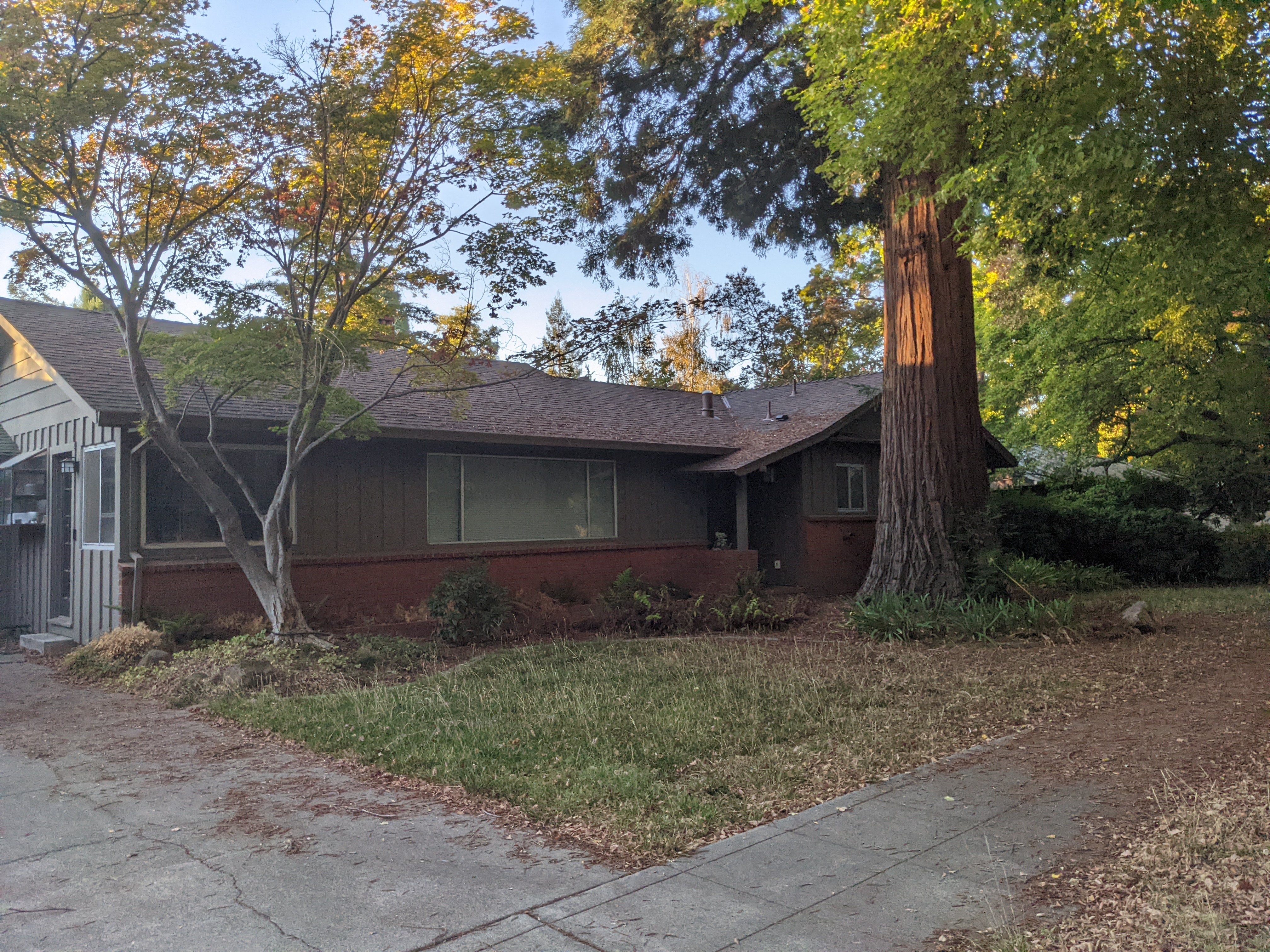 A single-story midcentury-style house in Chico with brown siding, red brick base, and large front windows, surrounded by mature trees and dappled sunlight.