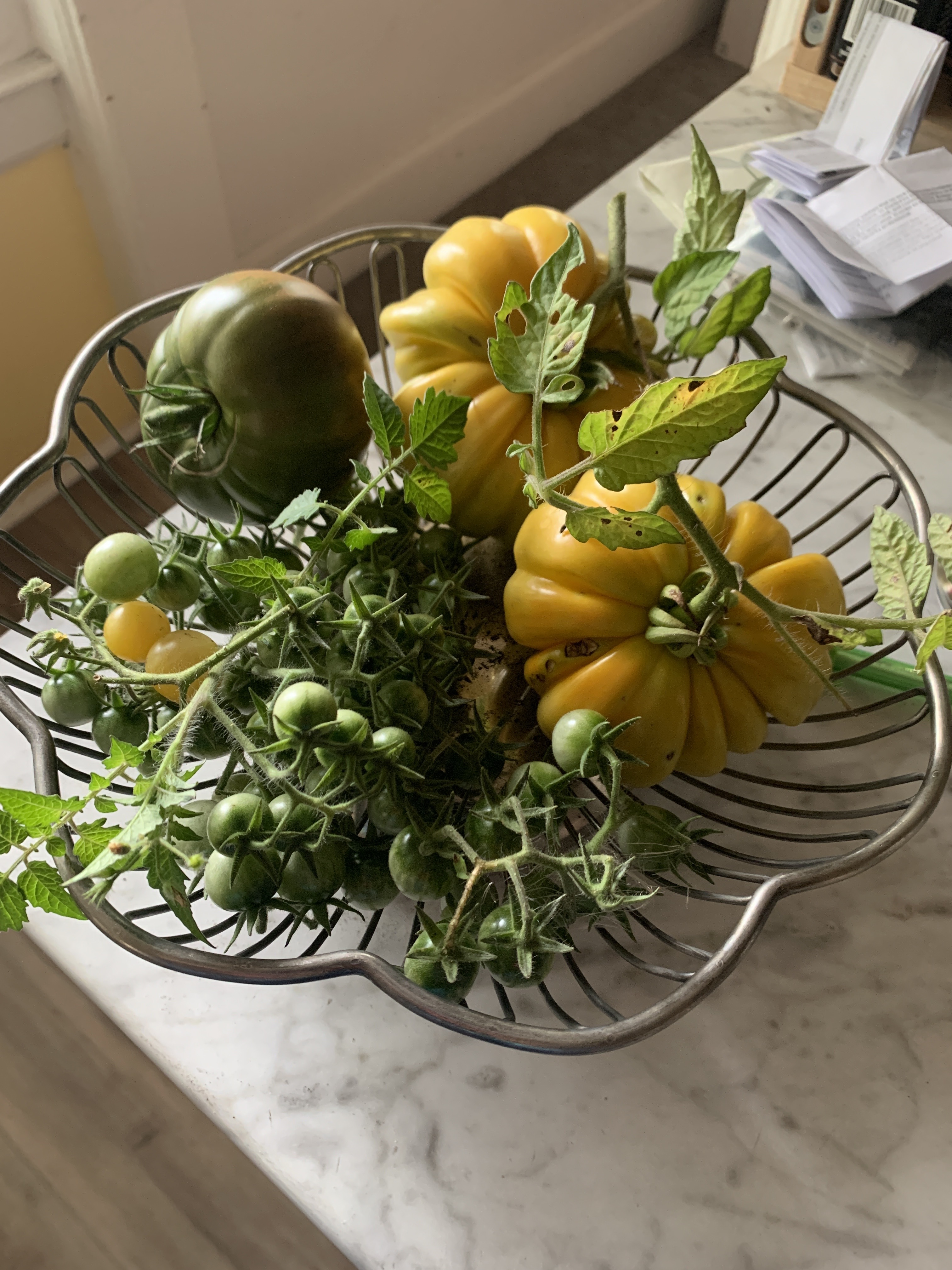 An array of fresh vegetables in a bowl on a countertop