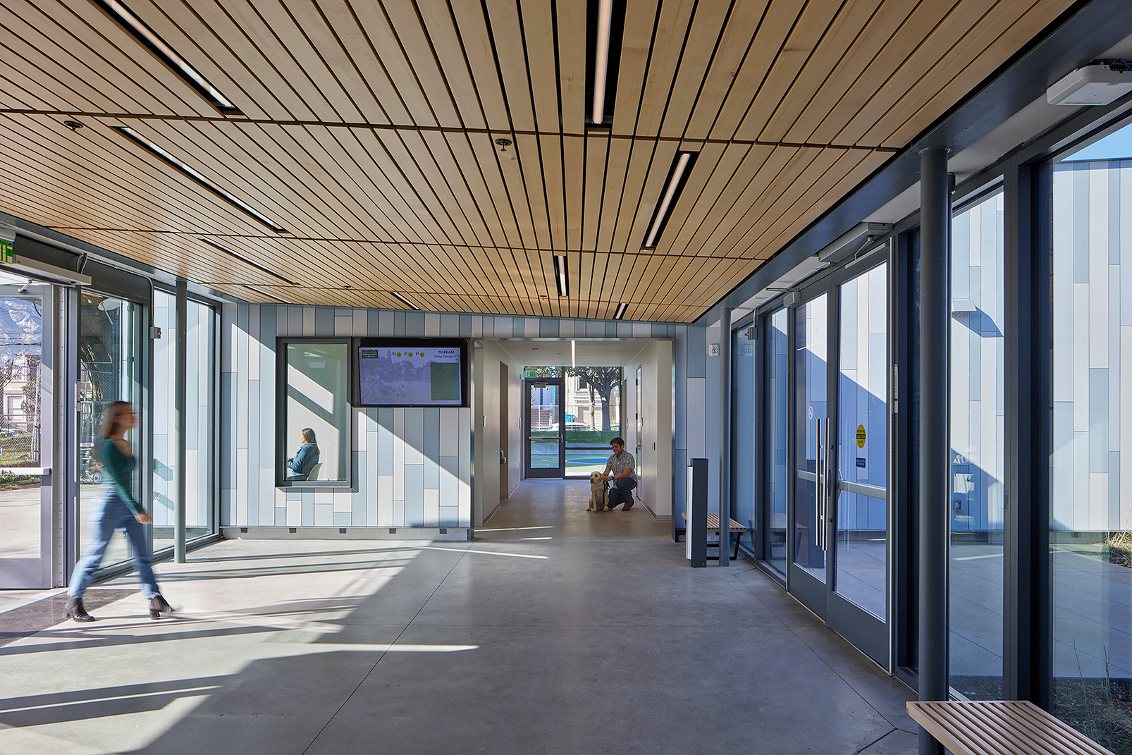 Interior lobby with floor-to-ceiling glass doors and windows, a warm wood slat ceiling, and alternating blue-toned wall panels. Natural light fills the space, where one person walks through the sunlit corridor and another sits at the far end with a dog.