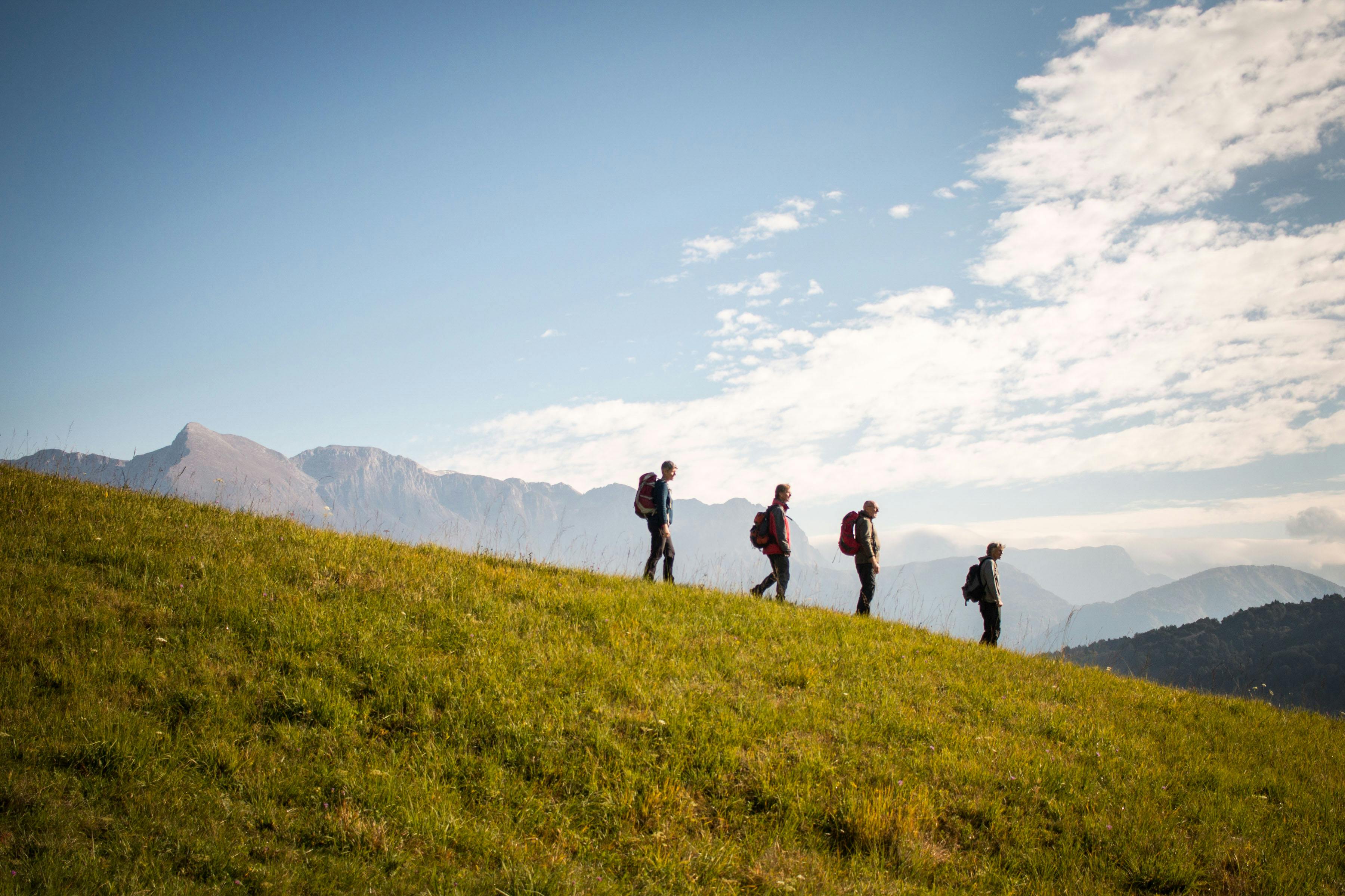Four people from afar walking downhill in a line.