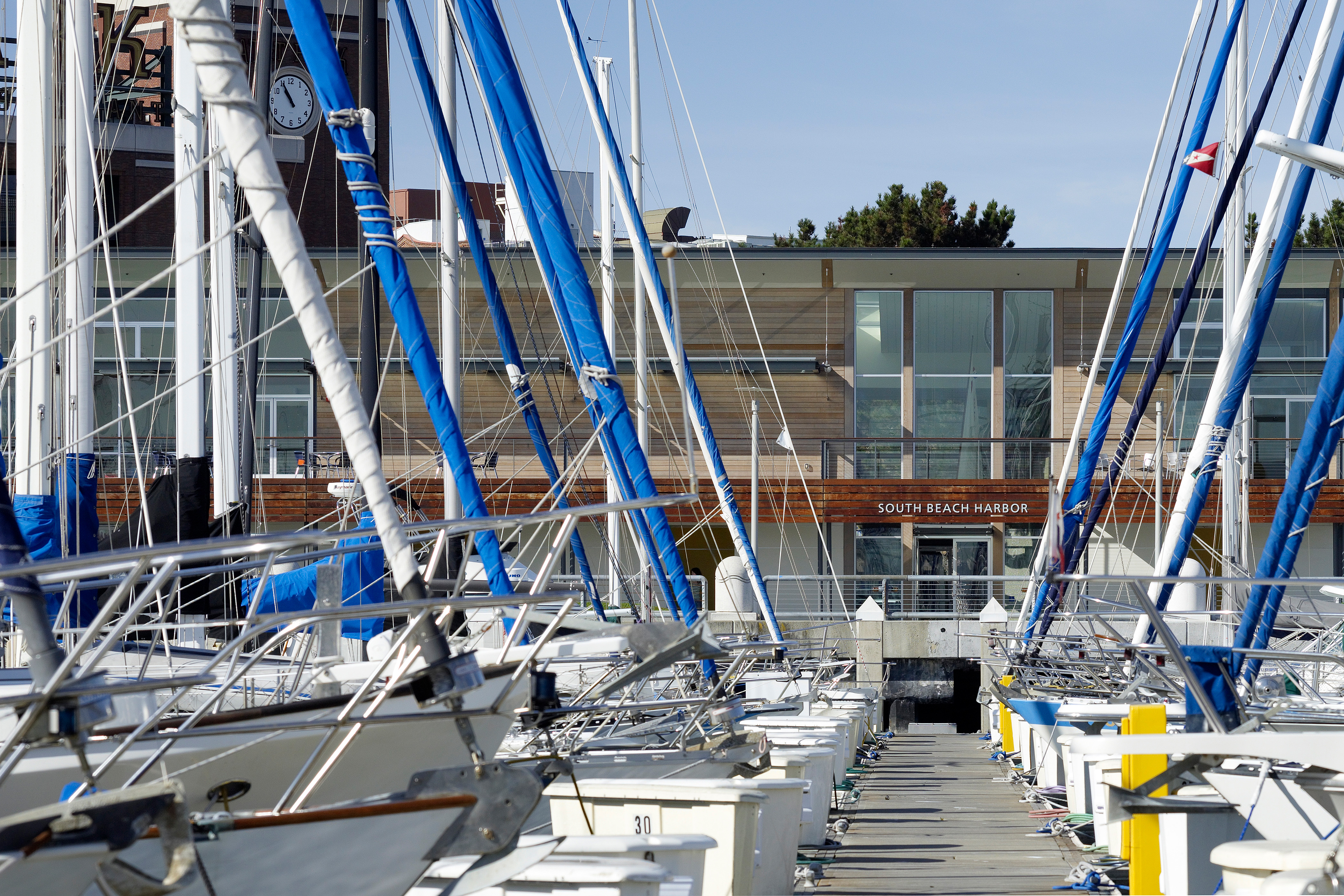 Rows of sailboats line a marina dock, their masts framing a wood-clad harbor building labeled “South Beach Harbor” under a clear blue sky.