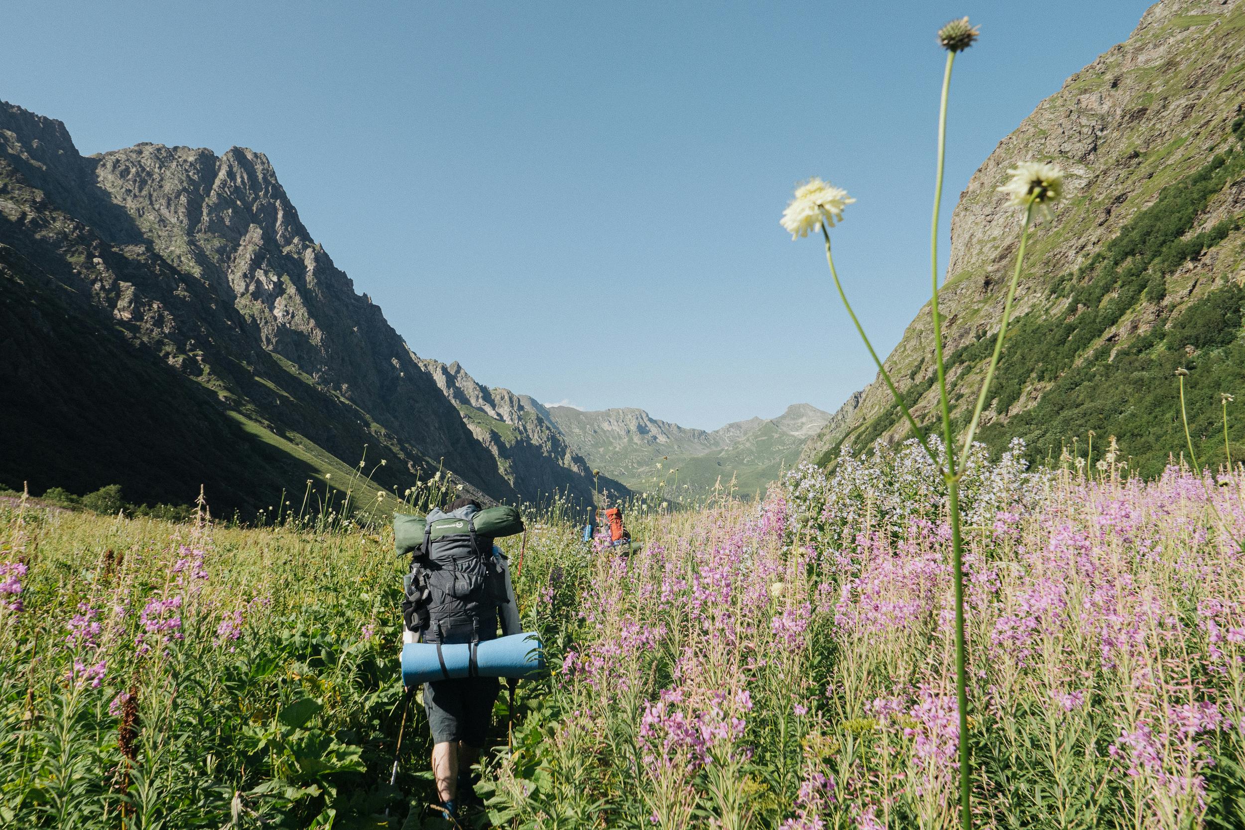 A person from behind wearing a backpack hiking through a meadow