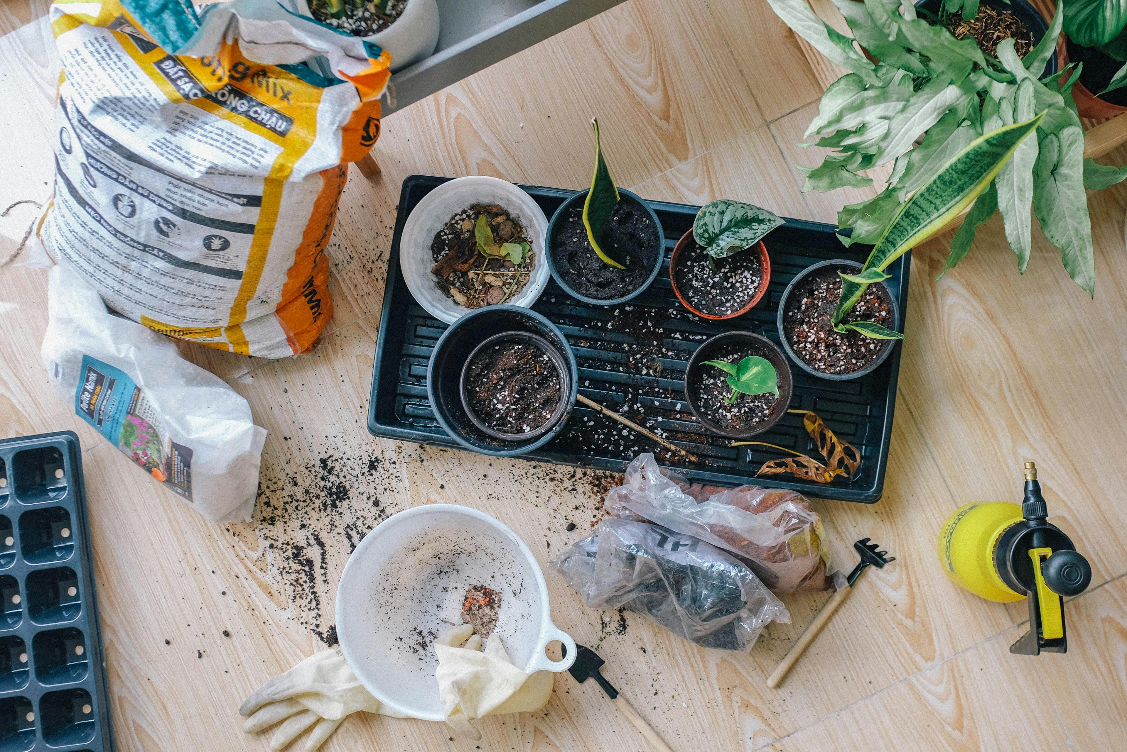 Various gardening supplies laid out on a table.