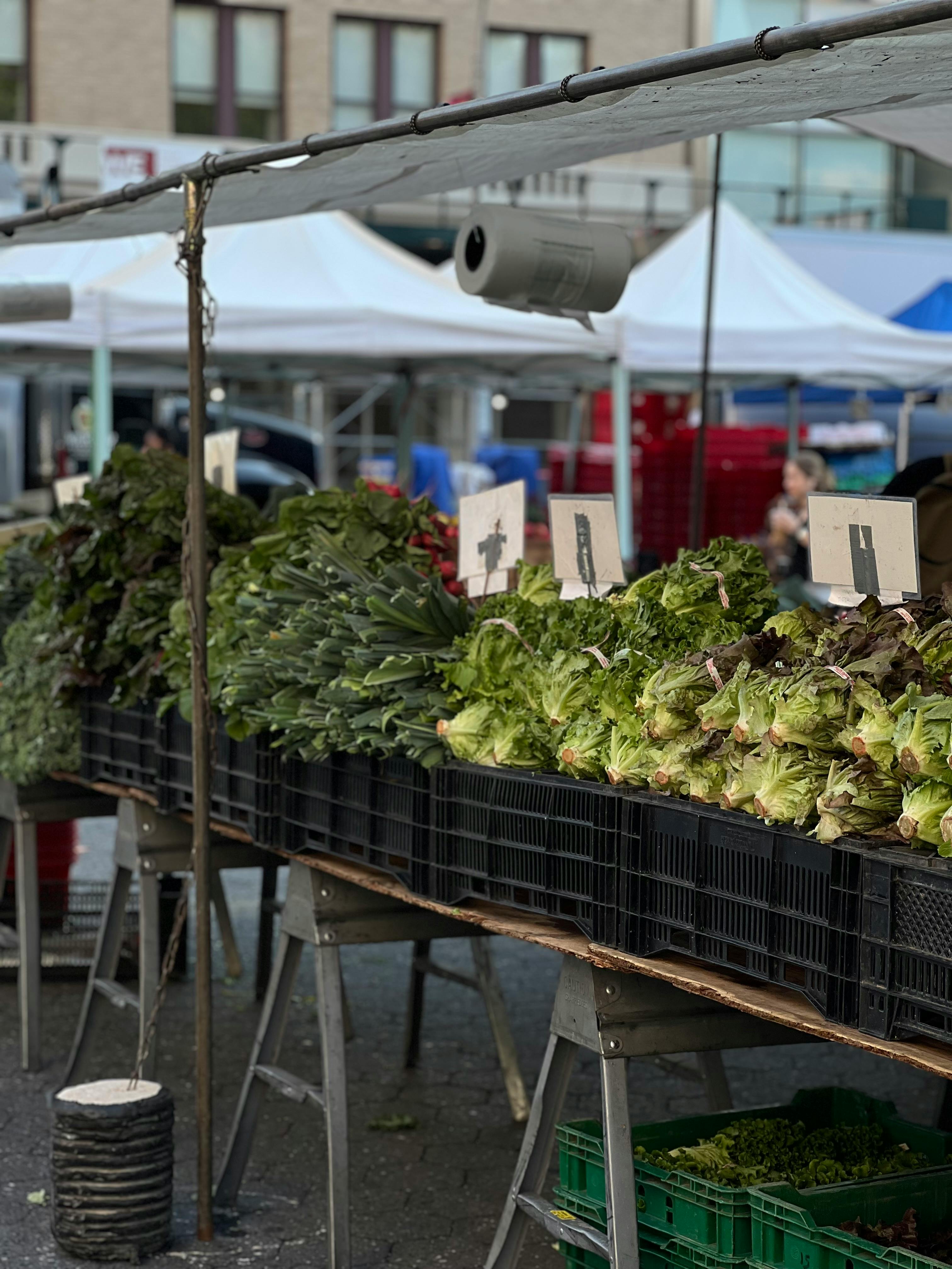 Vegetables in a crate under a pop-up; a farmer's market stall