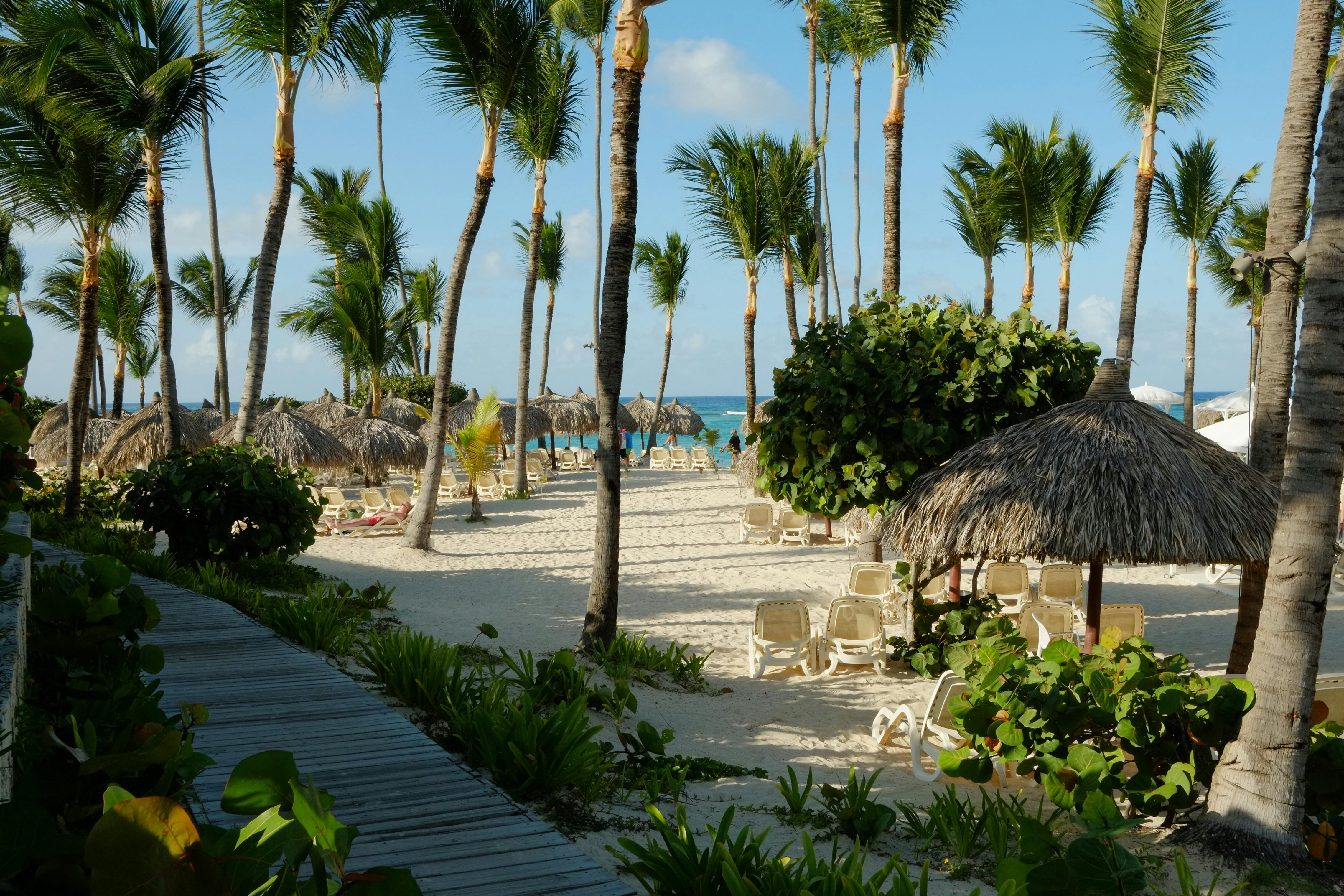 A sunny beach with palm trees and beach day supplies
