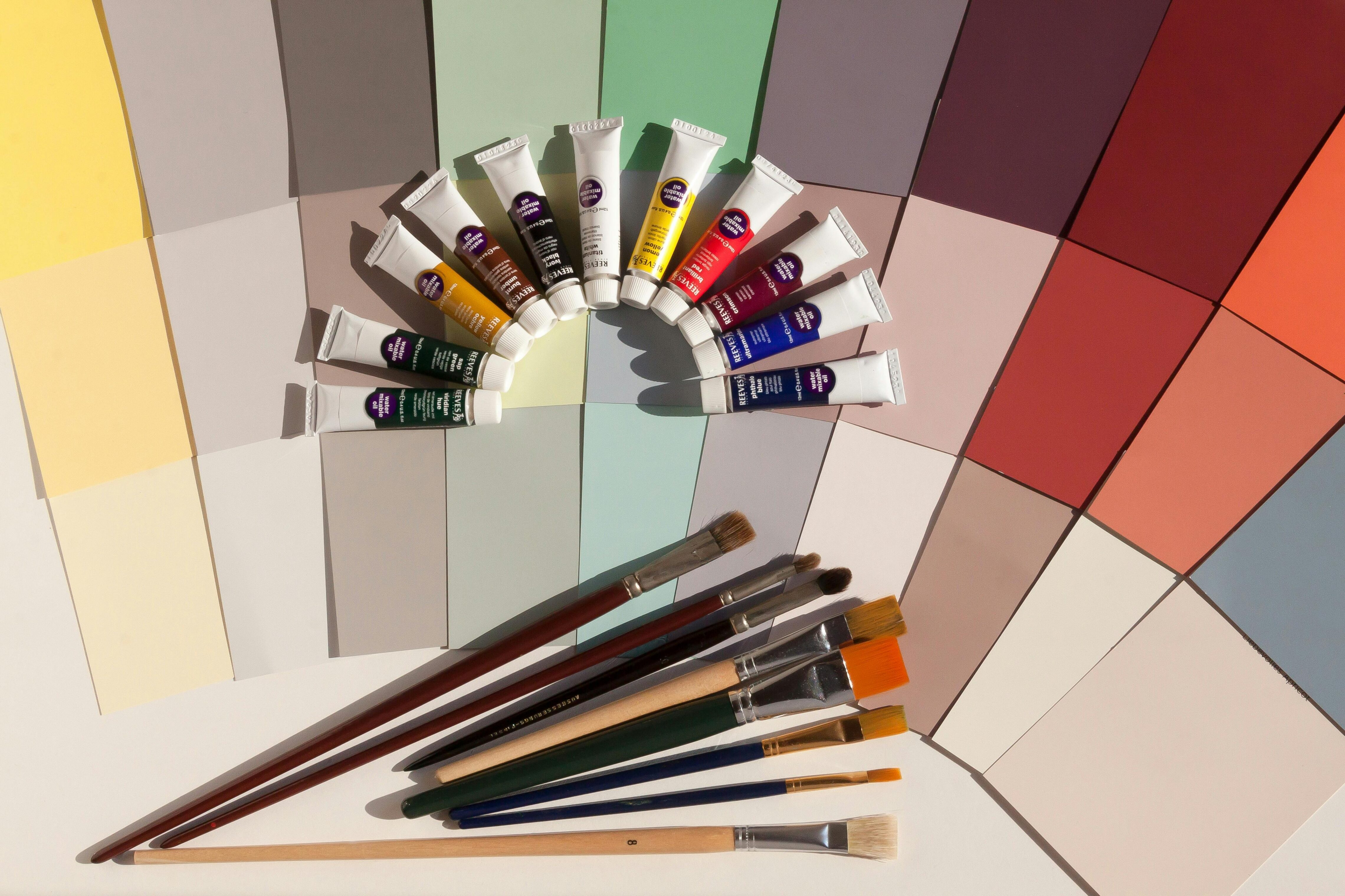 Paint, paintbrushes, and paint samples laid out on a table