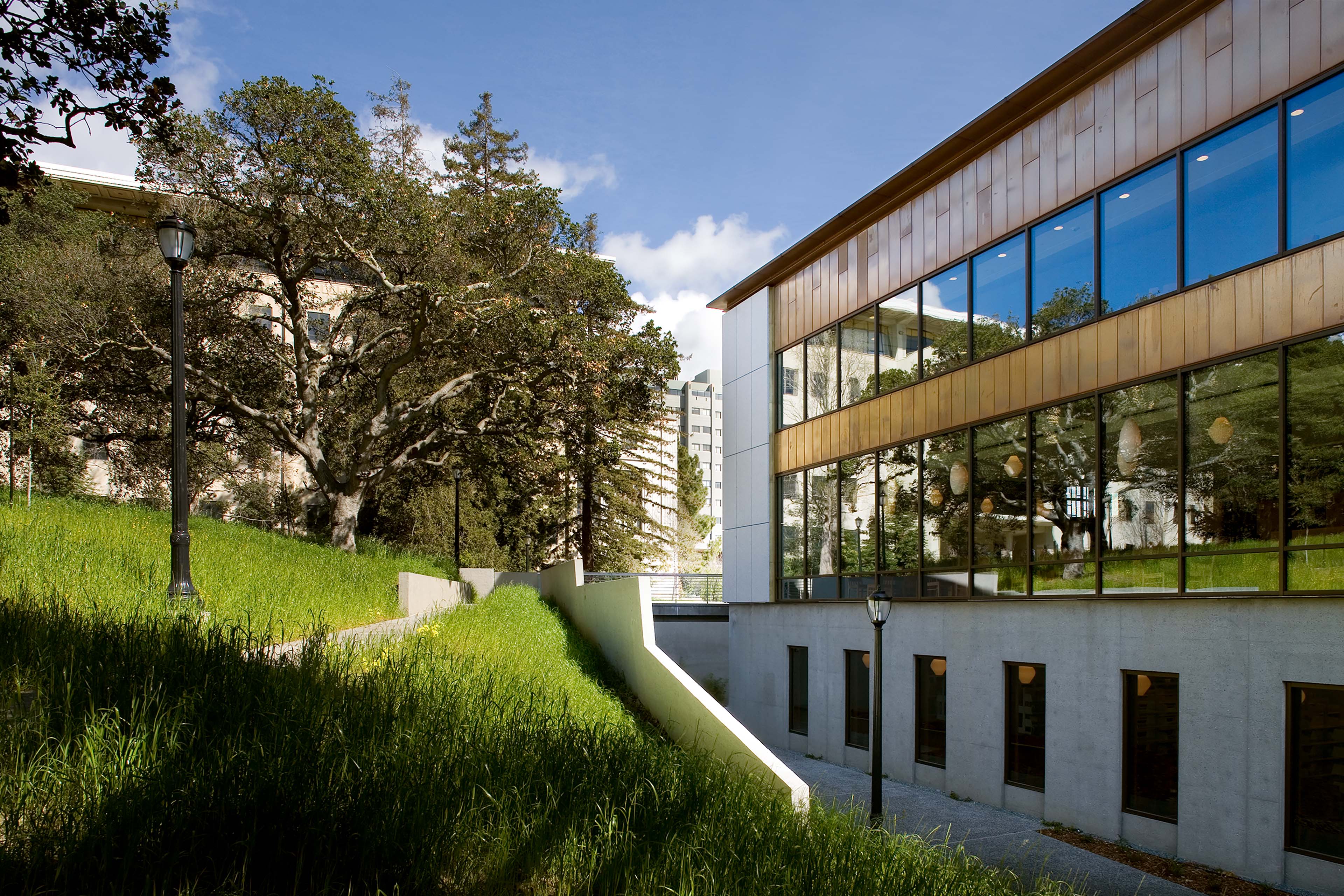 Exterior view of a modern library set into a landscaped hillside, with large windows reflecting mature trees and warm interior light visible at the lower level.