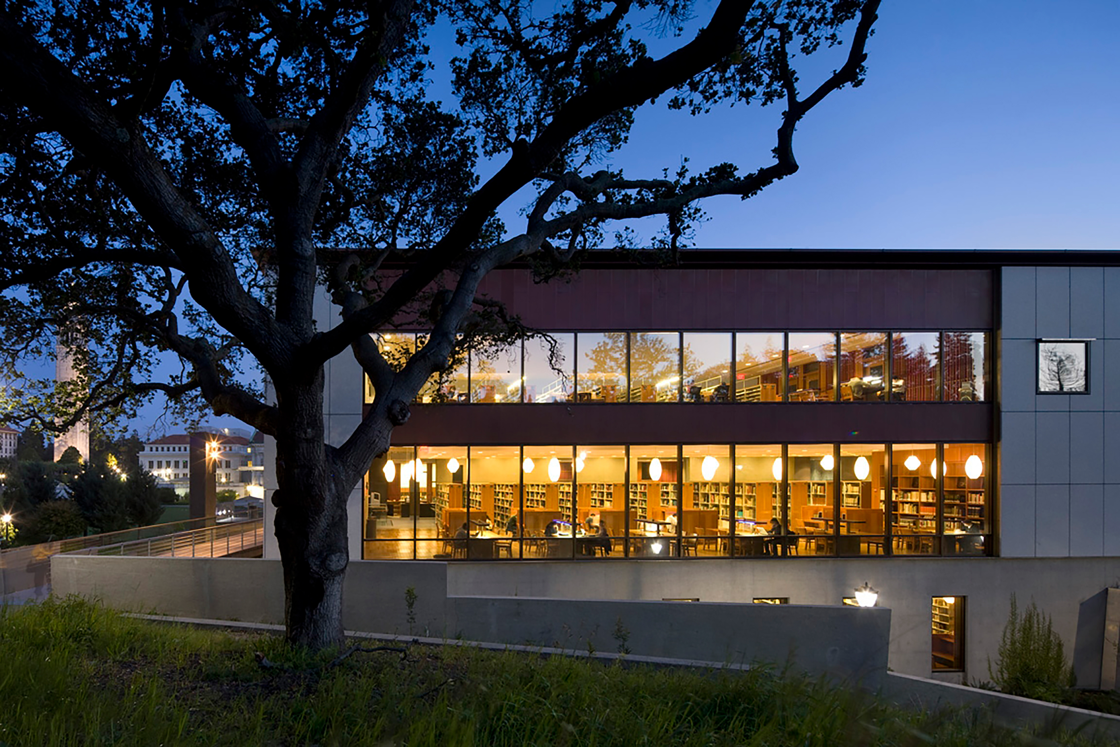 Exterior view of a modern library at dusk, with warm-lit reading rooms visible through large windows and a mature tree silhouetted in the foreground.