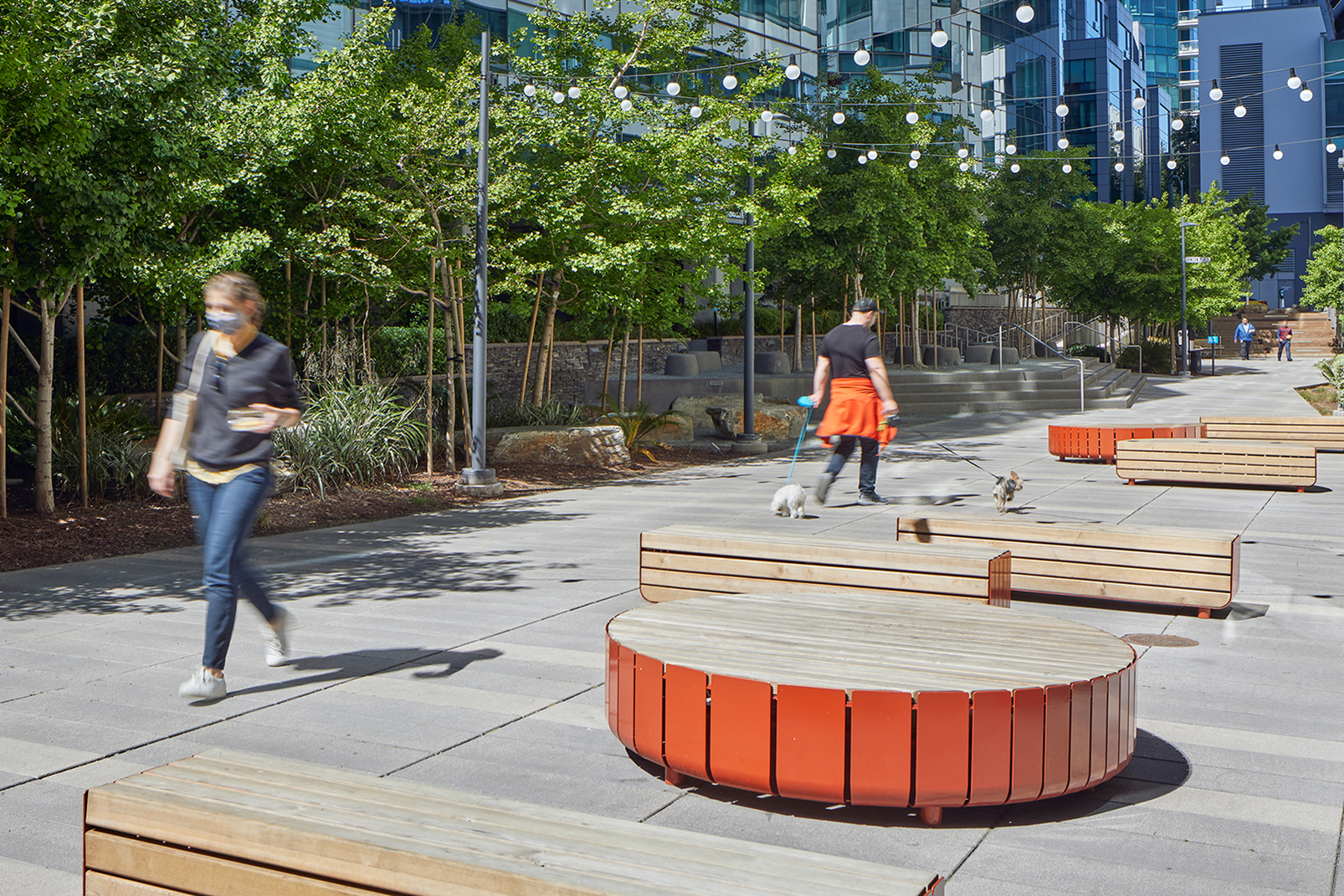 Outdoor urban plaza with broad paved walkways, mature trees, and strings of globe lights overhead. Curved orange-and-wood benches provide seating throughout the space, while pedestrians and a person walking two small dogs move through the landscaped courtyard between modern buildings.
