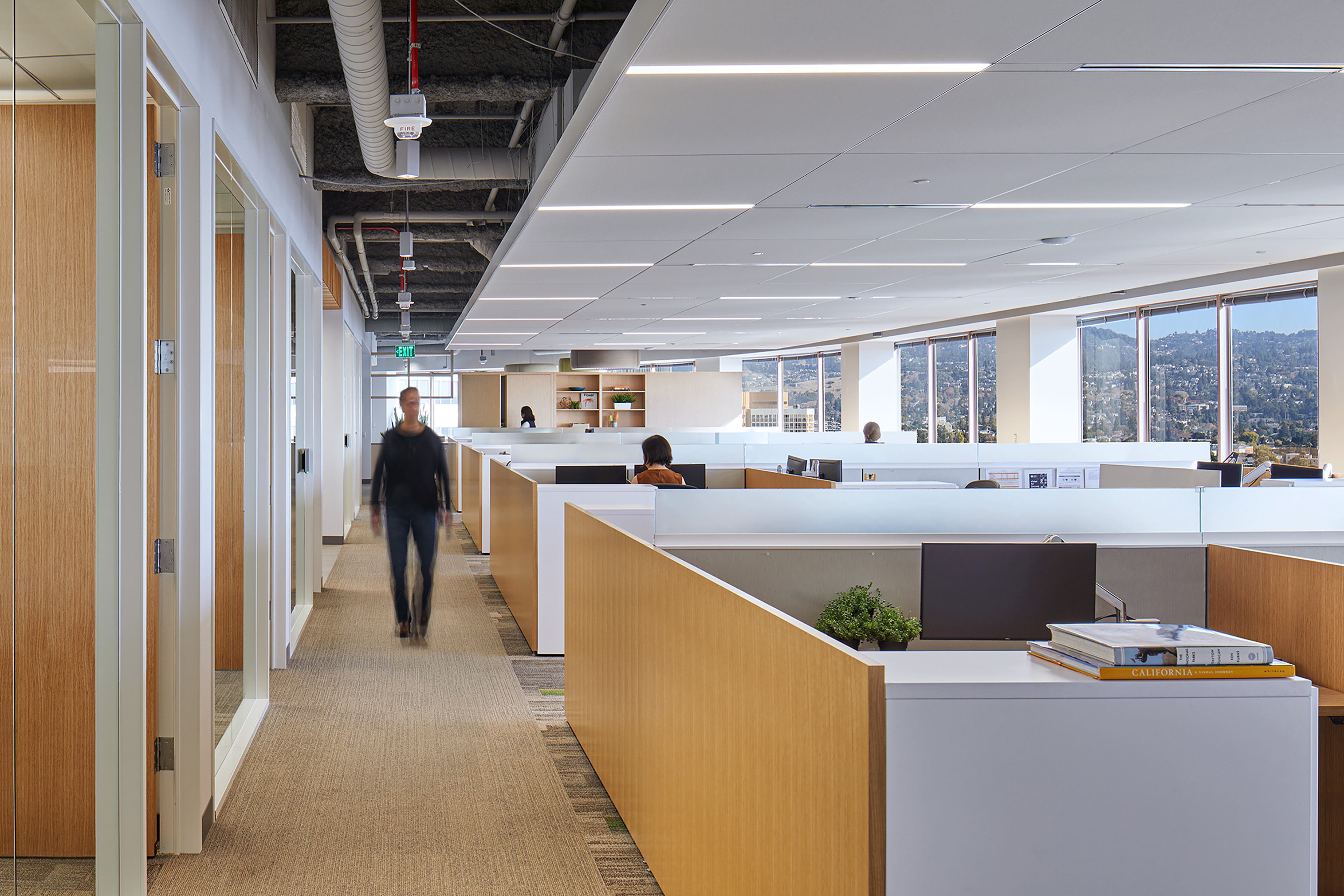 Open office workspace with low workstations, light wood partitions, white desk surfaces, and a long window wall overlooking wooded hills. A person walks down the central corridor beside glass-fronted rooms, while others work at desks in the bright, modern office.