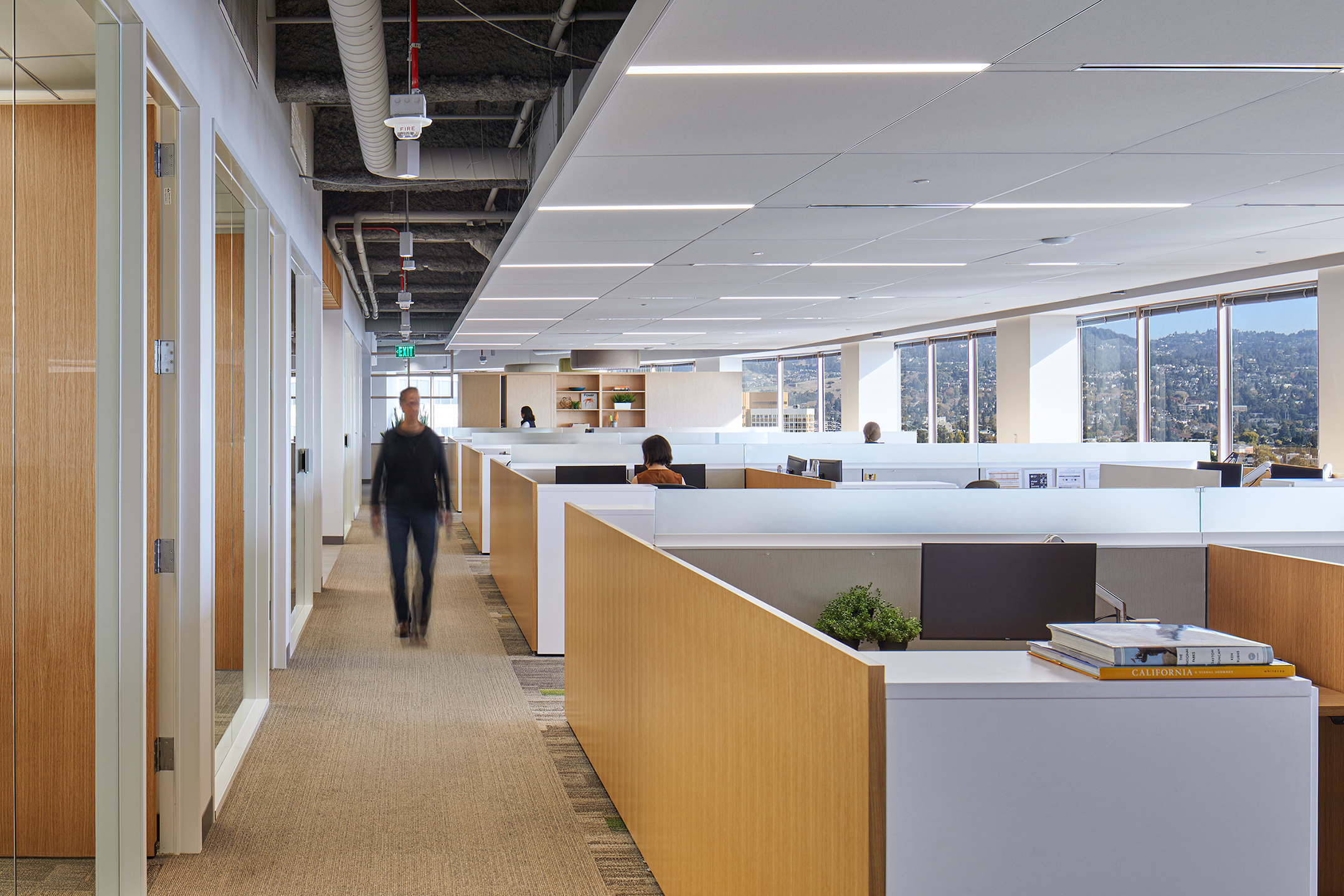 Open office workspace with low workstations, light wood partitions, white desk surfaces, and a long window wall overlooking wooded hills. A person walks down the central corridor beside glass-fronted rooms, while others work at desks in the bright, modern office.