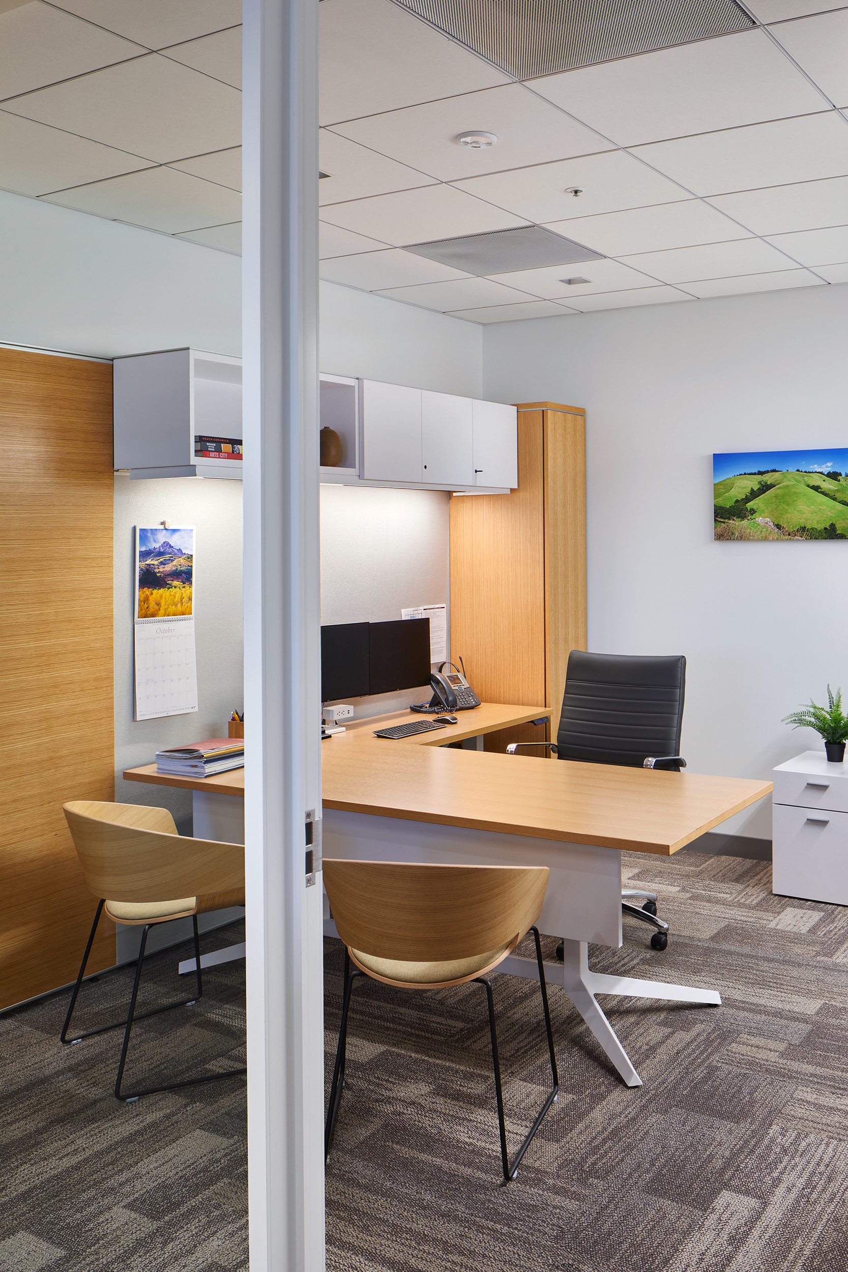 Private office with light wood desks, matching guest chairs, built-in storage, dual monitors, and neutral patterned carpet. Glass partitions open the view into the workspace, while a landscape image and small plant add color to the clean, modern office.