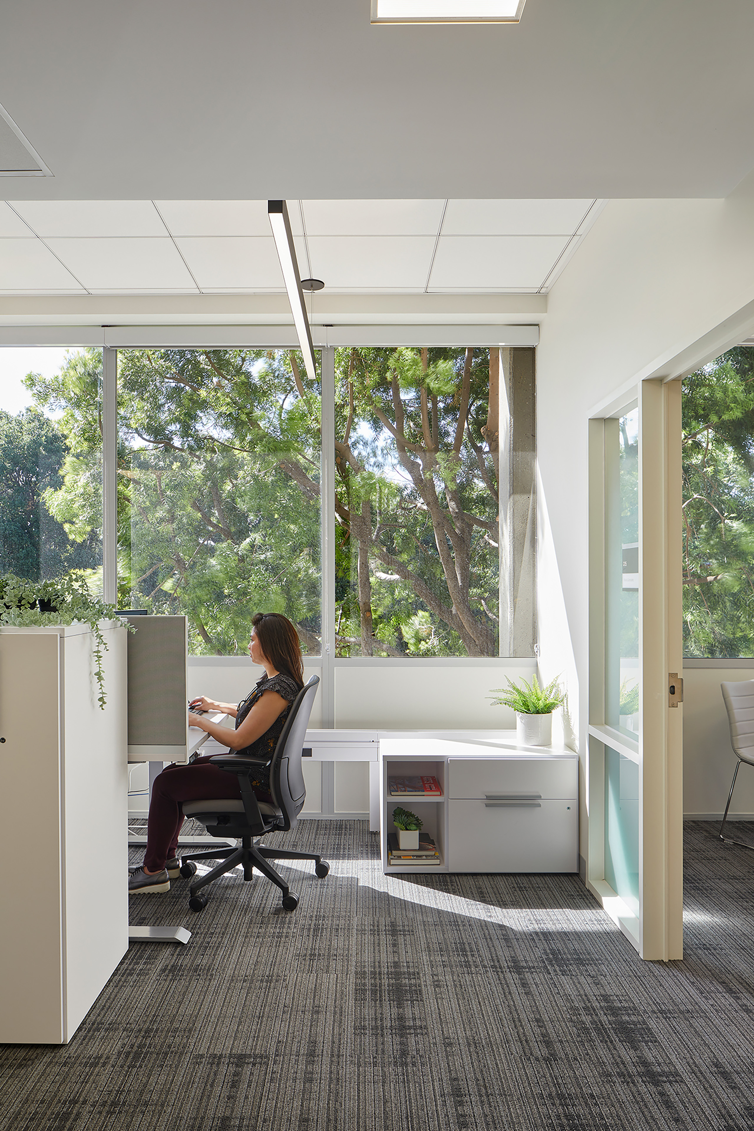 Bright workstation area with large windows overlooking trees. An employee works at a desk beside white storage units, plants, and a glass-fronted adjacent room.