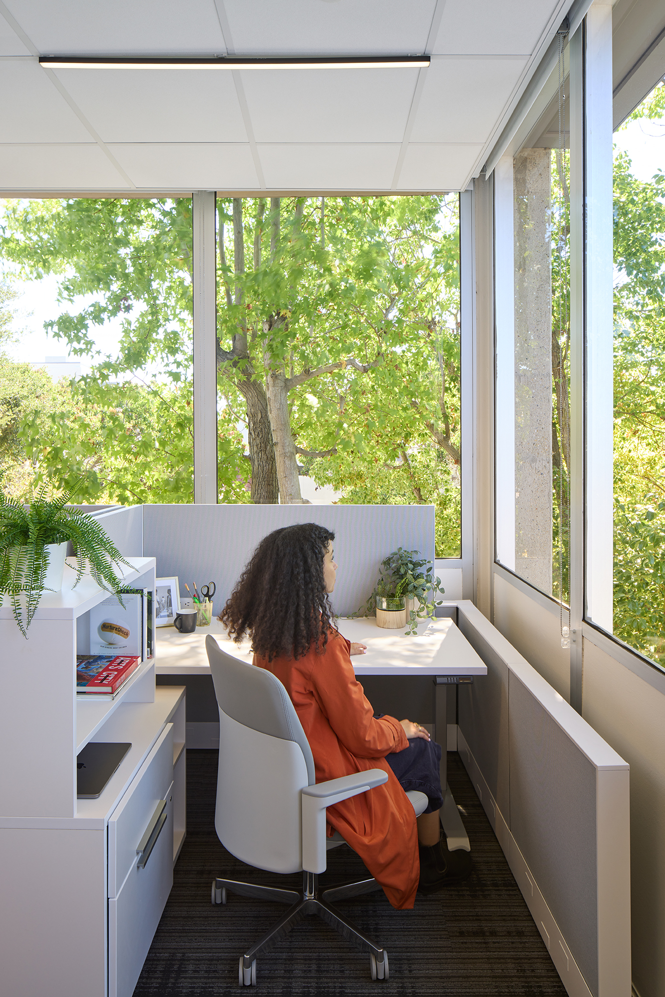 Private workstation beside large windows, with an employee seated at a desk facing views of leafy trees. The bright office space includes built-in storage, plants, and a white task chair.
