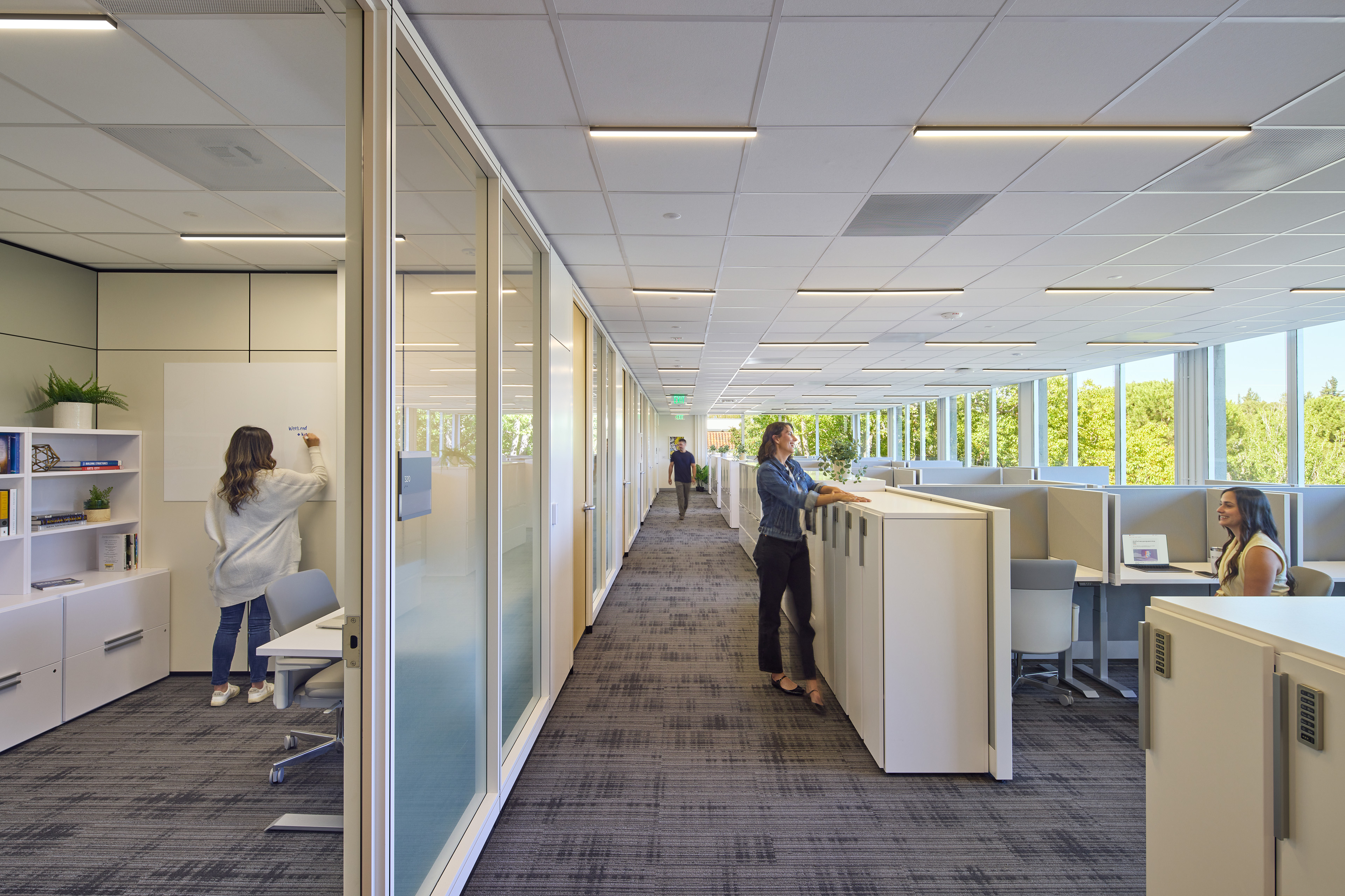 Open office corridor with glass-fronted meeting rooms on one side and workstations on the other. Several employees work and talk in the bright, modern space, with daylight coming through large windows overlooking trees.