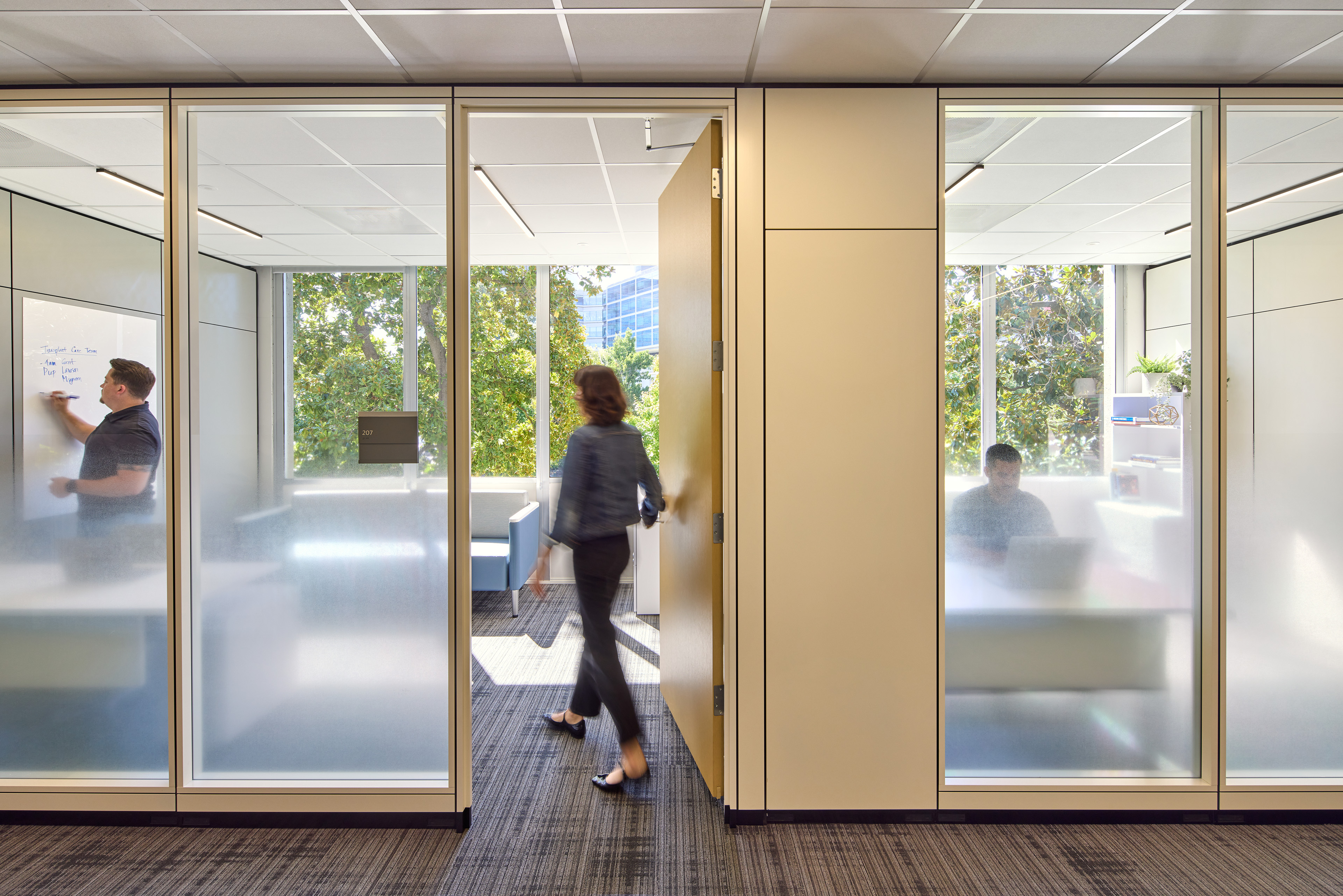 Glass-fronted private offices with frosted panels along a carpeted corridor. One employee writes on a whiteboard inside a room while another walks through an open door, with trees visible through the windows beyond.