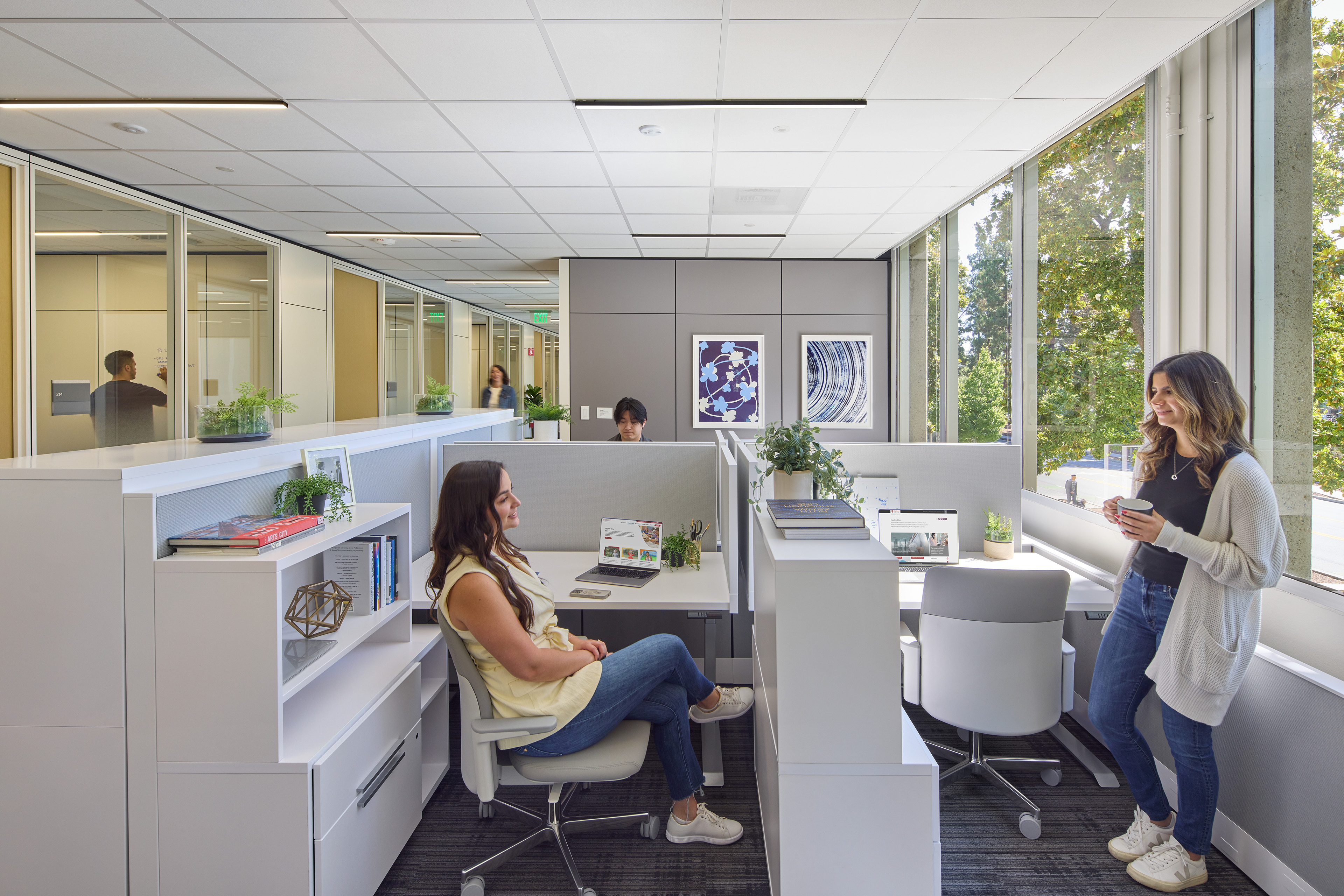 Bright open office with low workstations, built-in storage, and floor-to-ceiling windows overlooking trees. Two employees converse near the windows while others work nearby, with glass-fronted meeting rooms lining the opposite side.