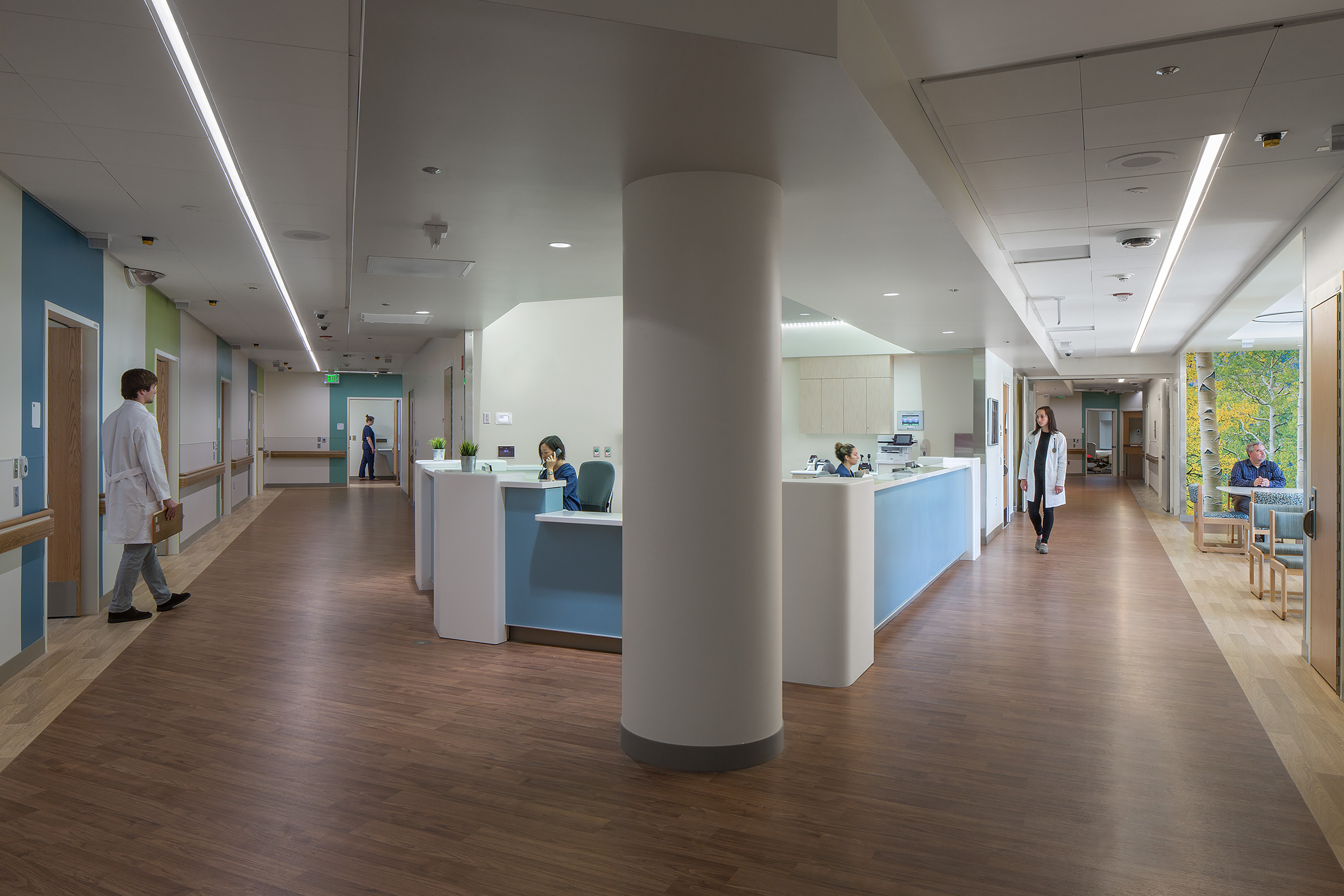 Hospital unit with central nurses’ stations, patient-room corridors, clinicians, and a seating area beside a birch forest mural.