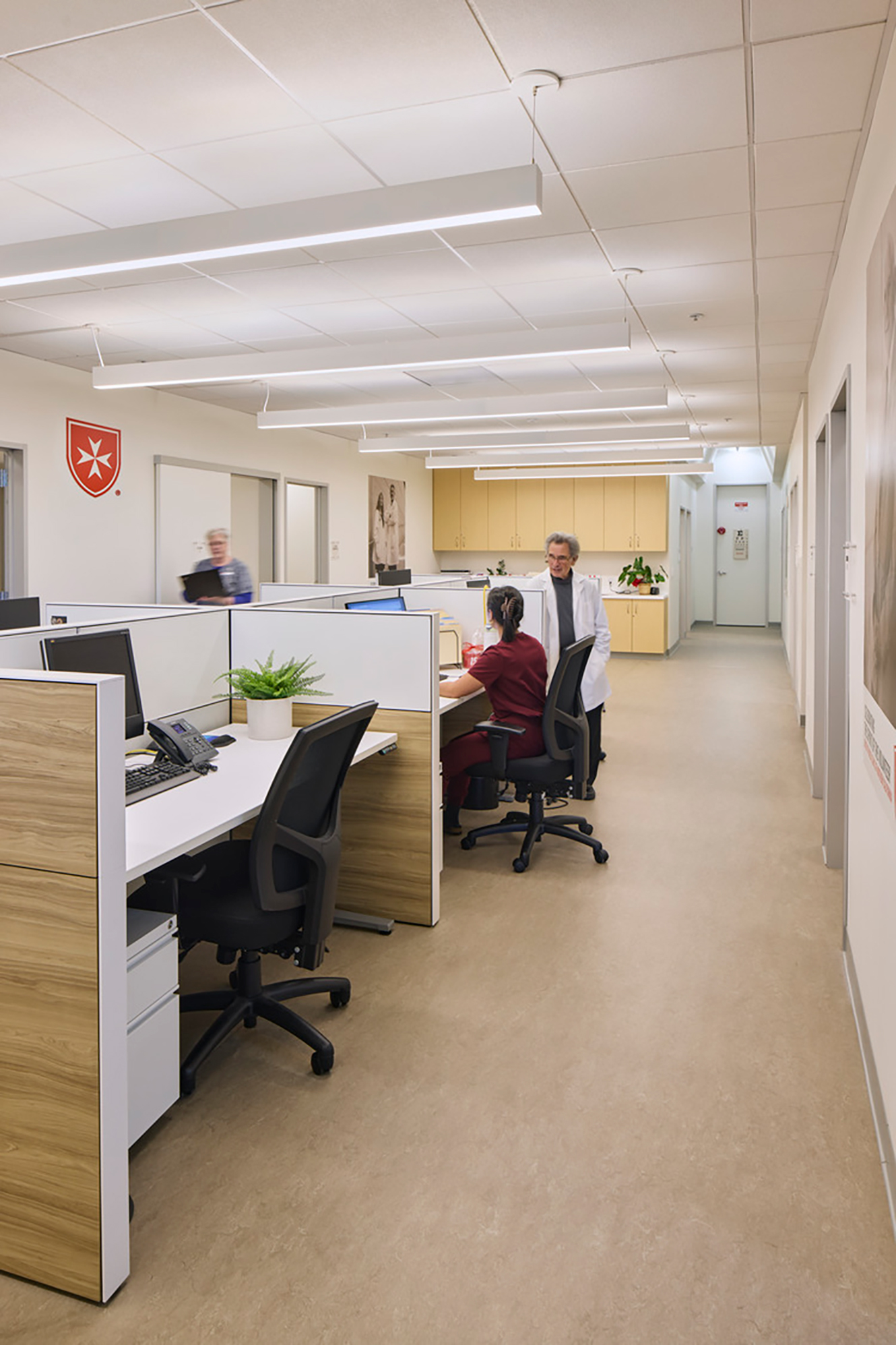 Open clinic work area with individual desks, overhead linear lighting, light wood cabinetry, and medical staff collaborating near the center.