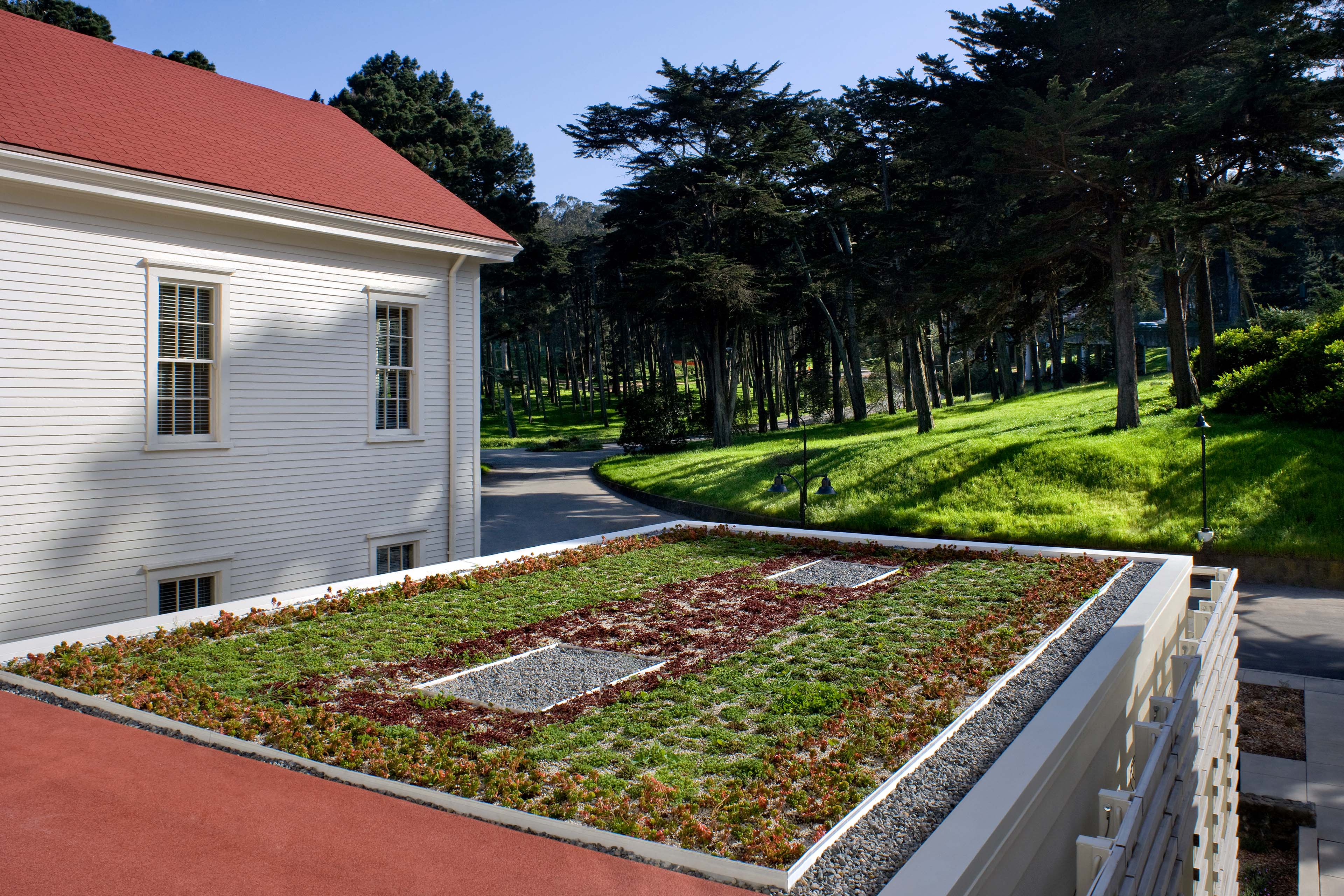 Planted green roof beside a historic white building, overlooking a wooded landscape and curving path.